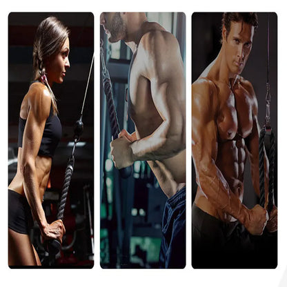 Biceps / Triceps Touw Fitness